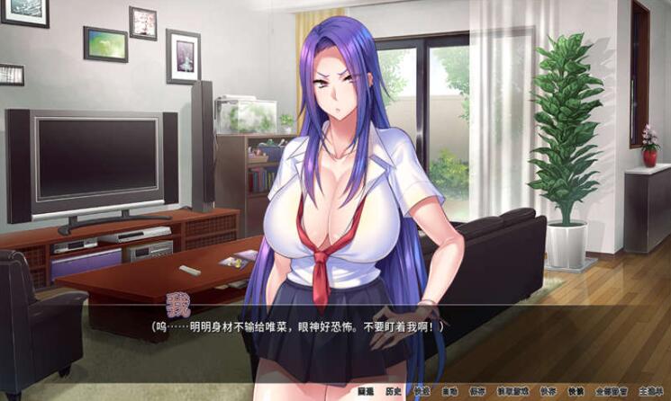 辣妹连续中出官方中文版 /Miel/拔作/CV/PC+安卓/1.2G -久爱驿站05